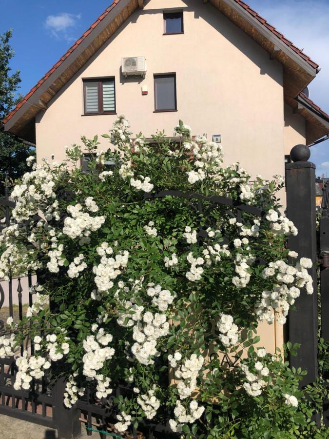 Pokoje Goscinne Na Wodnej Lidzbark Welski Exterior foto